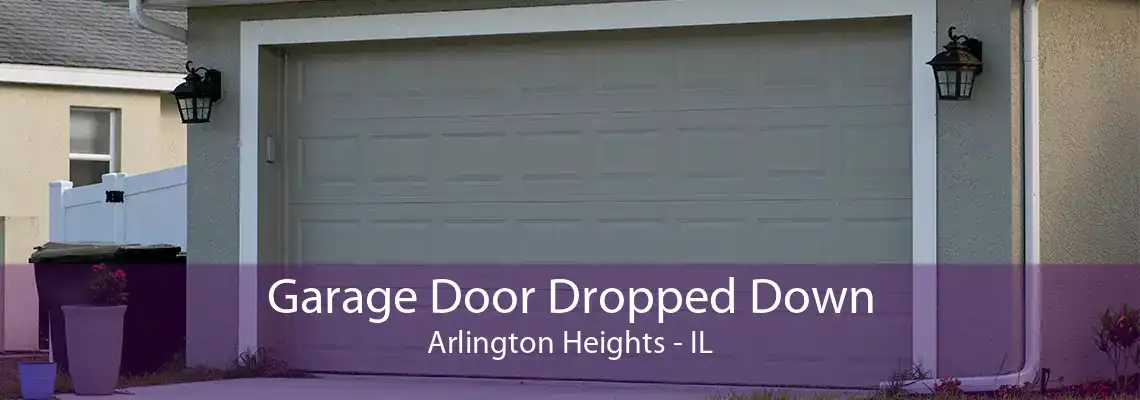 Garage Door Dropped Down Arlington Heights - IL