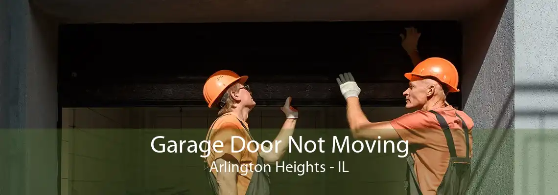 Garage Door Not Moving Arlington Heights - IL