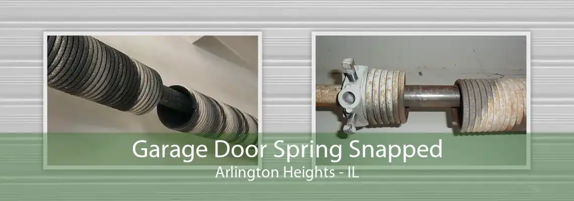 Garage Door Spring Snapped Arlington Heights - IL