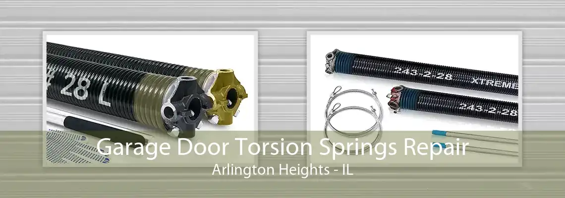 Garage Door Torsion Springs Repair Arlington Heights - IL